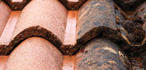 Tuiles de toit usées, Façades Essonne.